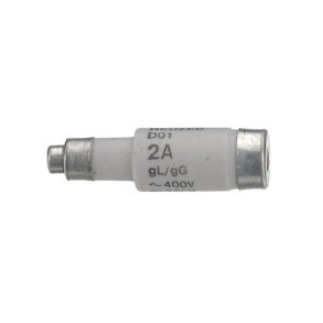 FUSE D01 2A, GL-GG, NEOZED.