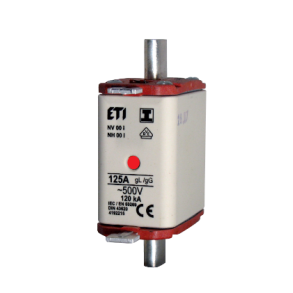 FUSE 125A, NH00, 690V, GL/GG.
