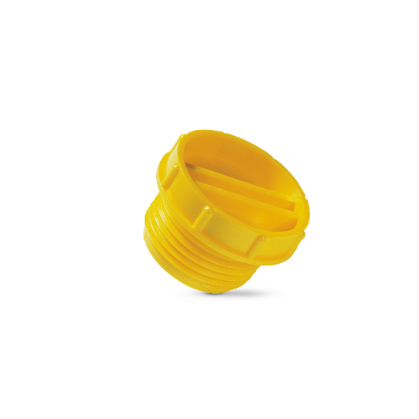 SEALING PLUG GPN 700 M30.
