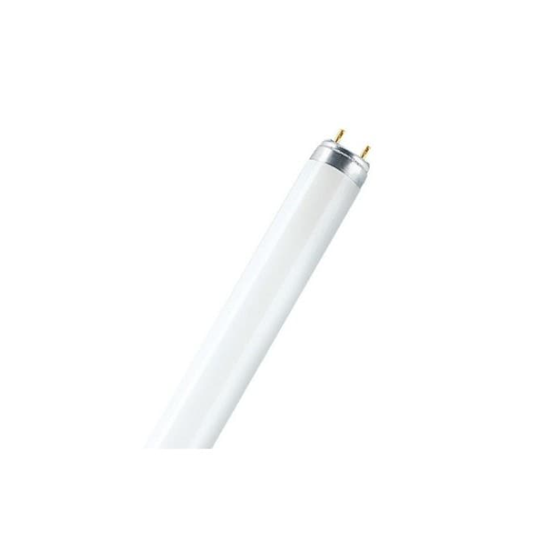 FLOURESCENT TUBE L18W/640. Minimum order quantity = 50
