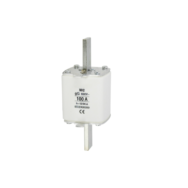FUSE, SIZE 2, 690V, 100A.