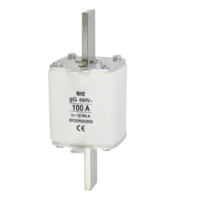 FUSE, SIZE 2, 690V, 100A.