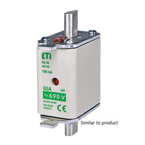 FUSE (NH) 20 079 02.100.