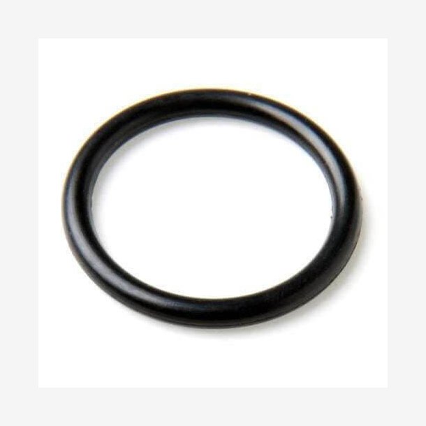 O-RING SEAL, VITON, SIZE 225. 