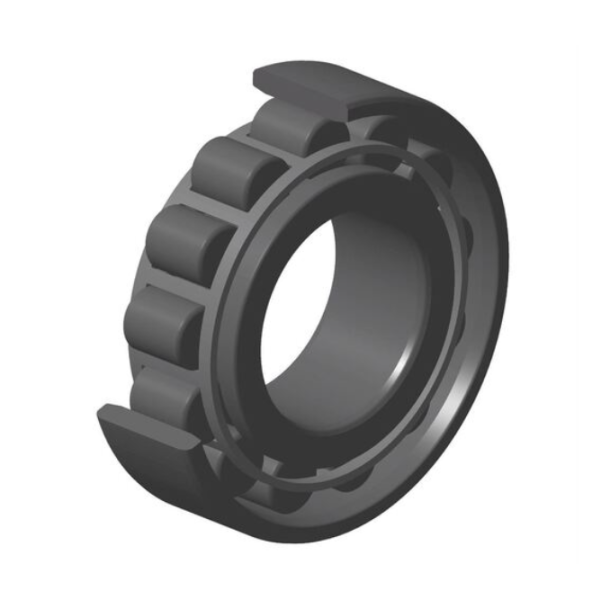 CYLINDRICAL ROLLER BEARING D UND NS NU10