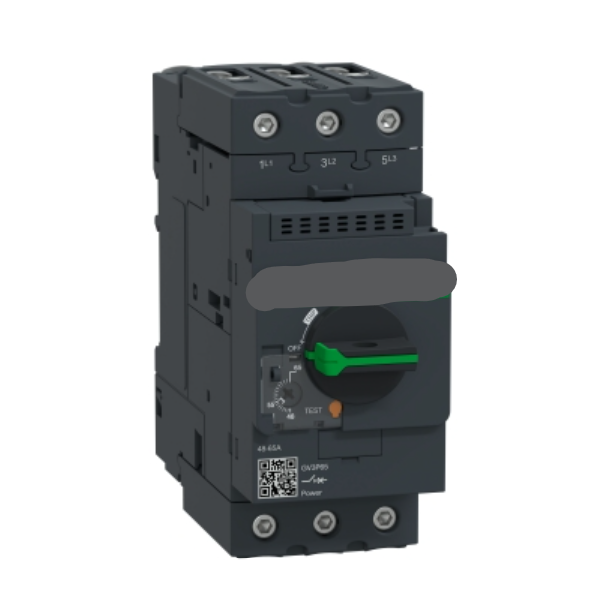 MOTOR-CIRCUIT SWITCH GV3P65, 48-65A