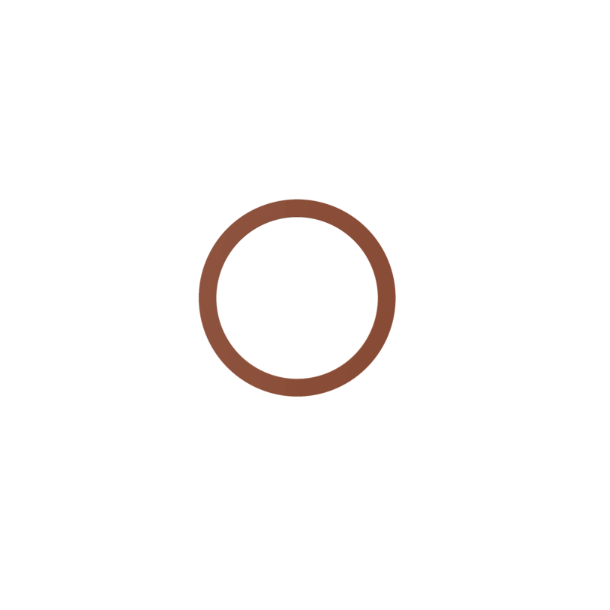 SEAL RING DIN7603 - A22X27X1