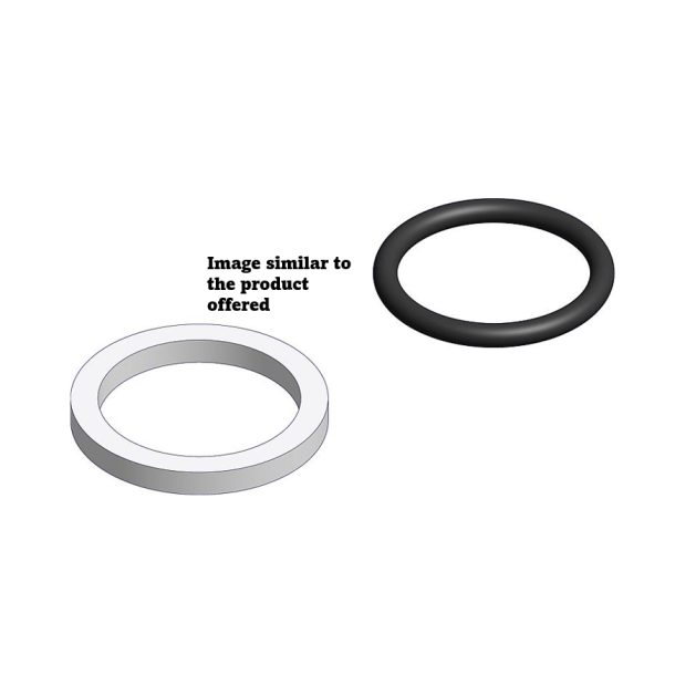 SEAL RING FOR FLANGE, CPNHZ-224