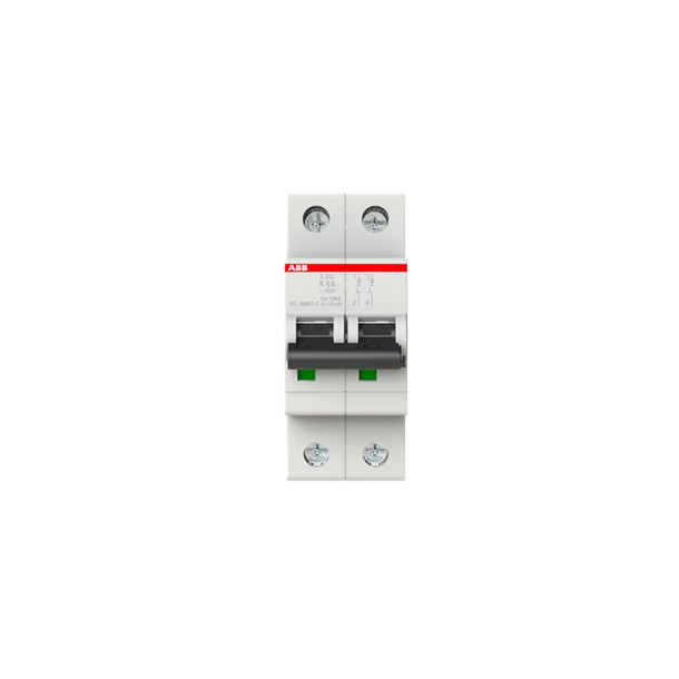 CIRCUIT BREAKER 2POLE, S202, K6A