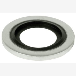 SEAL RING DSZ08