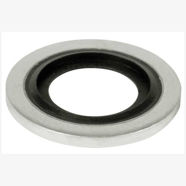 SEAL RING DSZ08