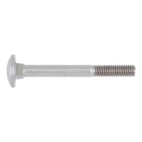 CARRIAGE BOLT M6X16 DIN603, A2. Minimum order quantity = 100