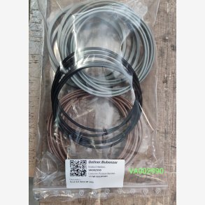 Seal kit BACW 200 GE 111W1663P001