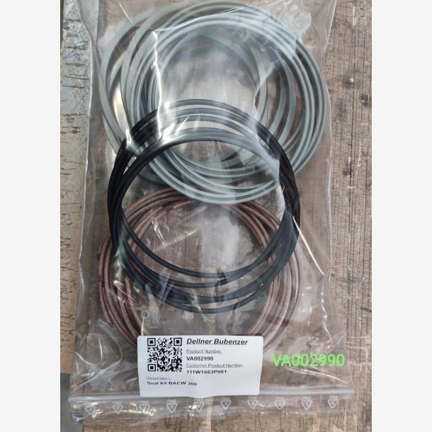 Seal kit BACW 200 GE 111W1663P001